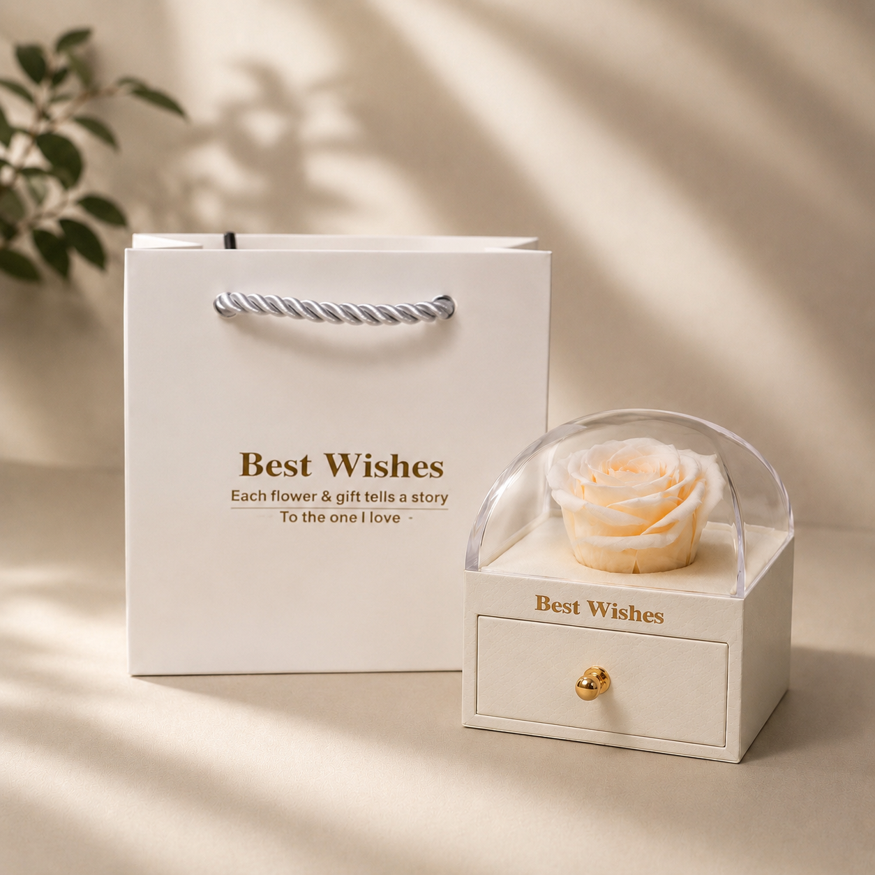 Packaging Premium